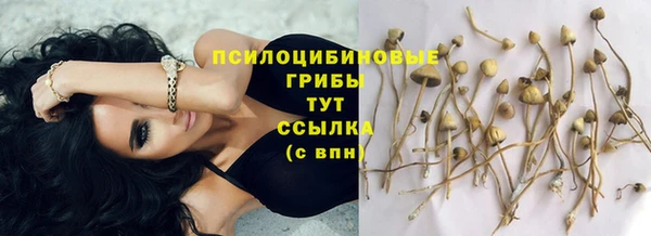 скорость Нефтегорск