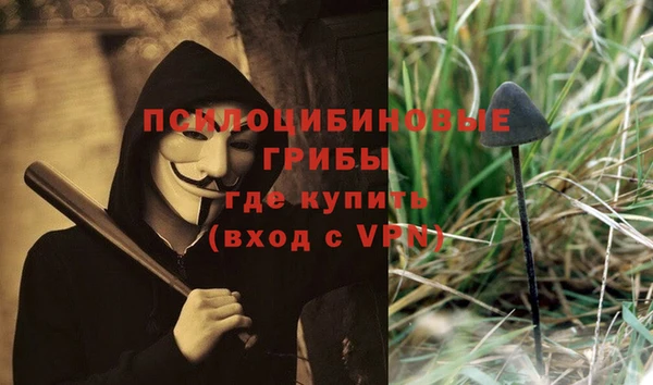 дурь Нефтекумск