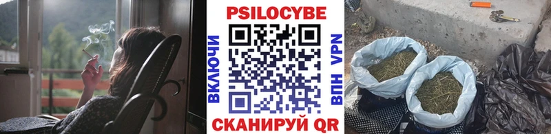 где можно купить   Судак  Галлюциногенные грибы ЛСД 